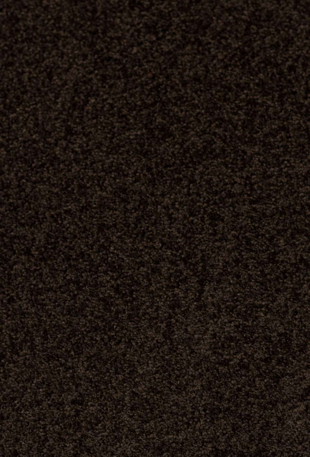 REST Eclipse 812 145 x 375 cm