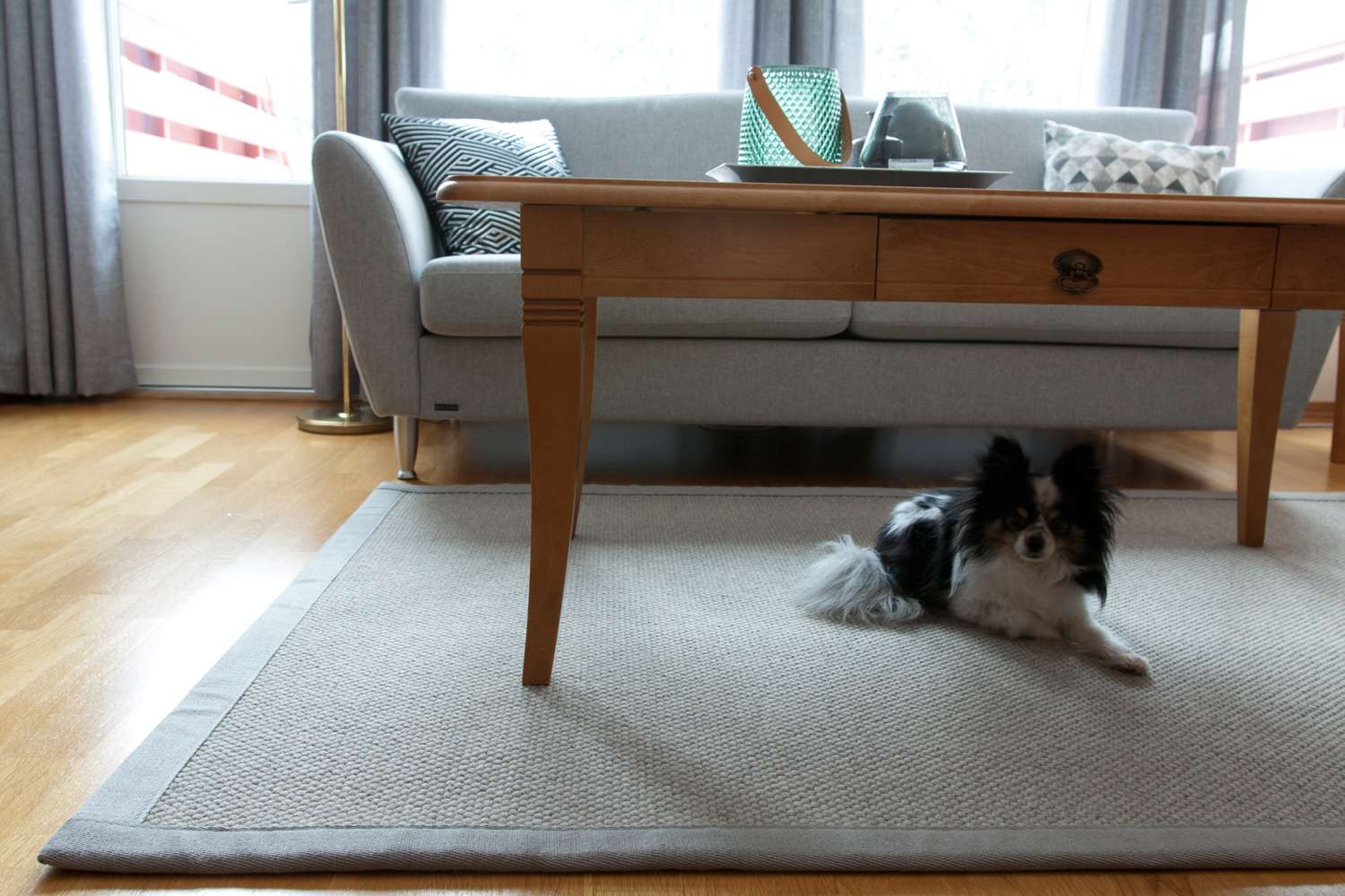 Alpha 21 Grey vegg til vegg teppe