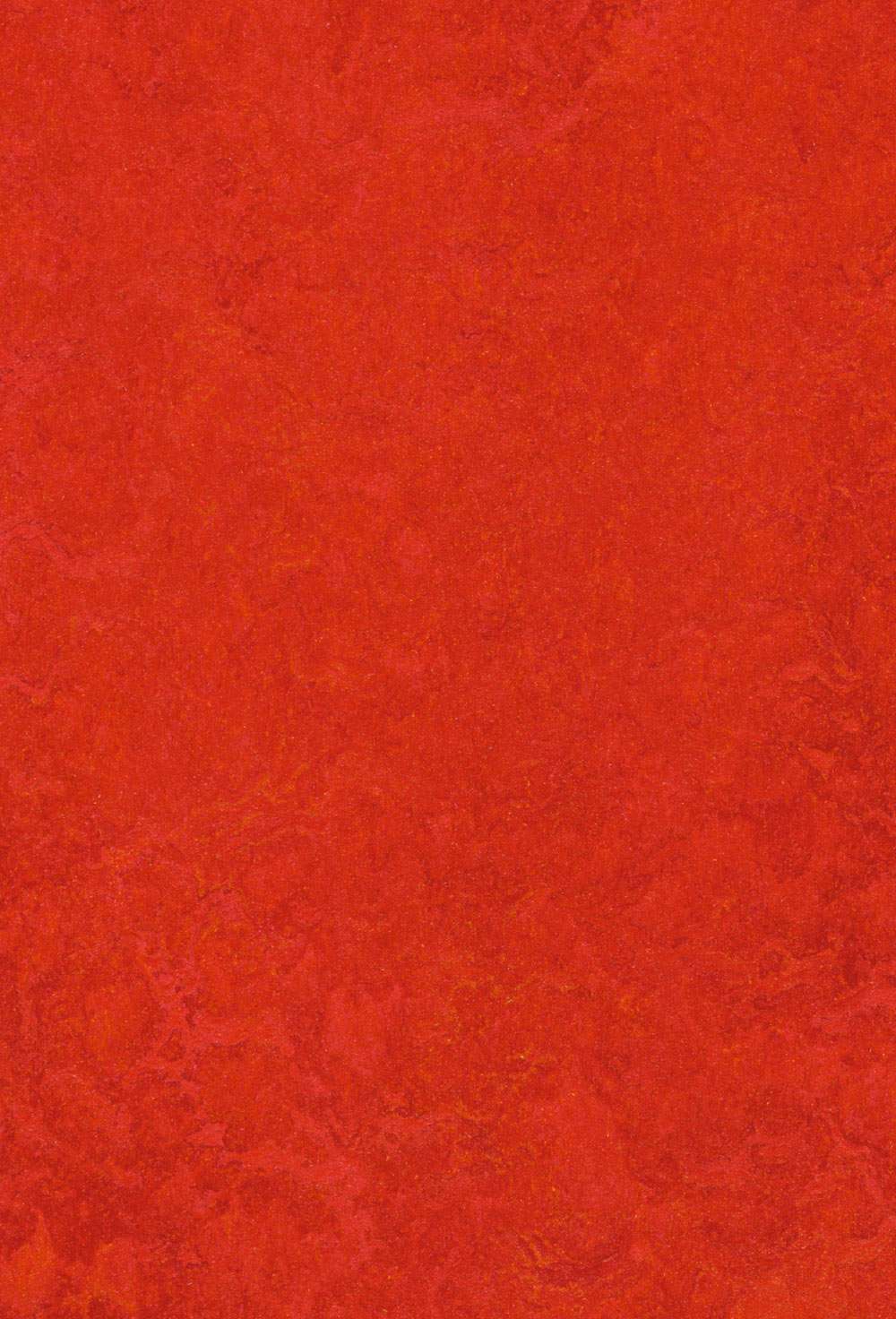 Marmoleum Click Scarlet linoleumsgulv