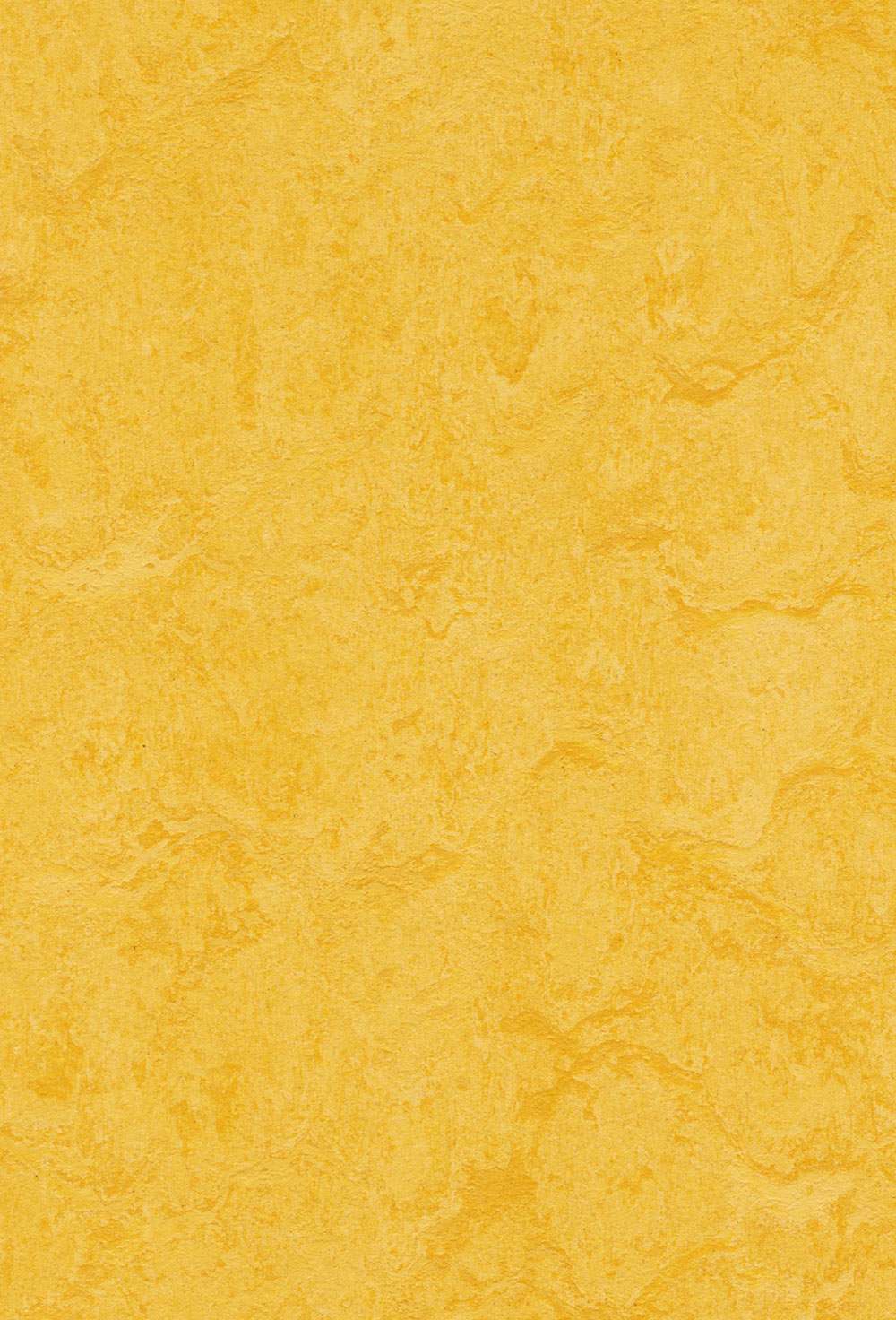 Marmoleum Click Lemon Zest linoleumsgulv
