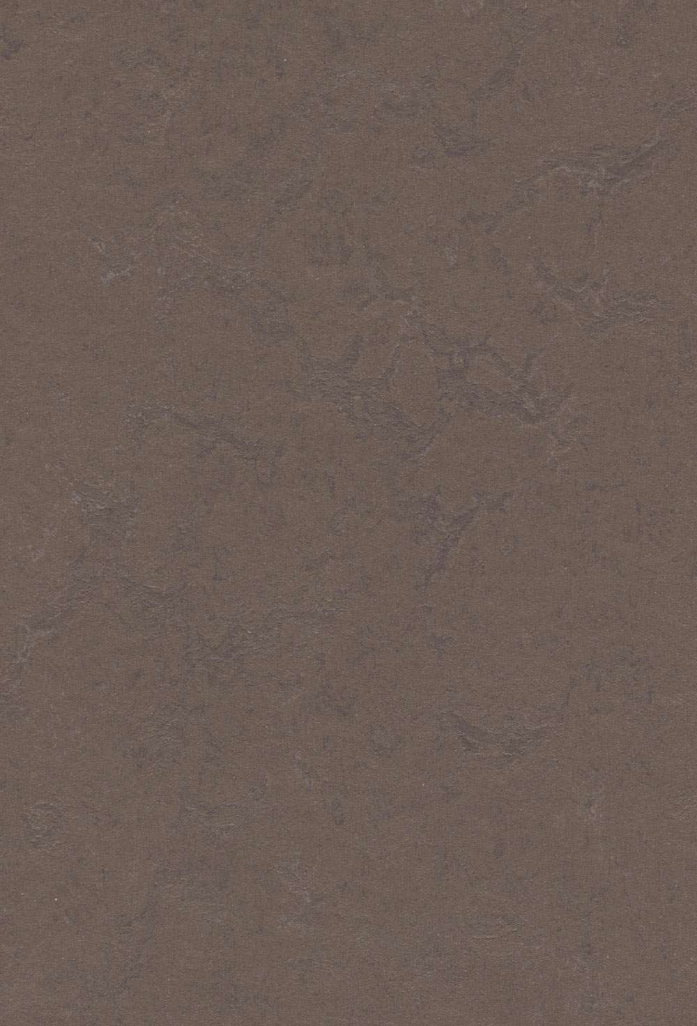 Marmoleum Click Delta Lace linoleumsgulv