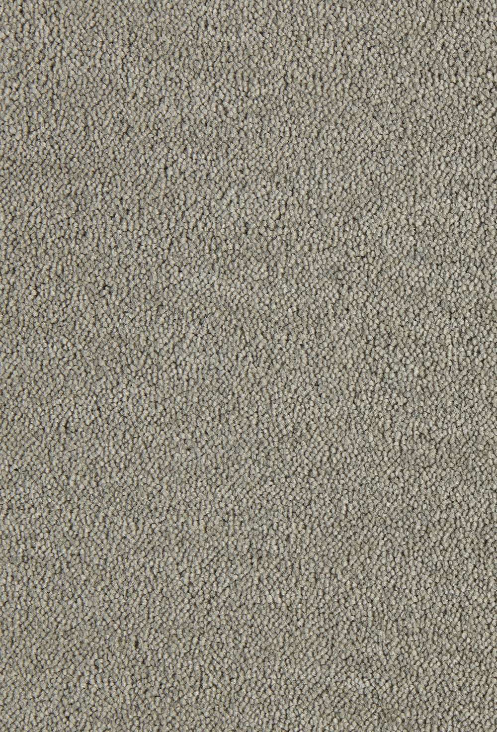 Dream 860 vegg til vegg teppe