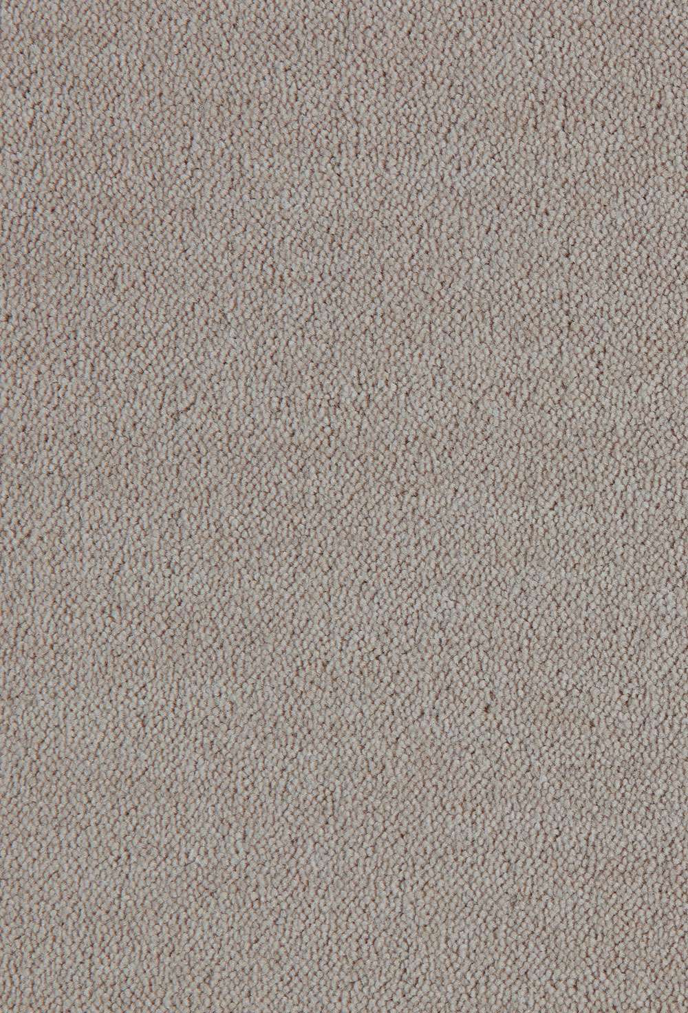 Dream 251 vegg til vegg teppe