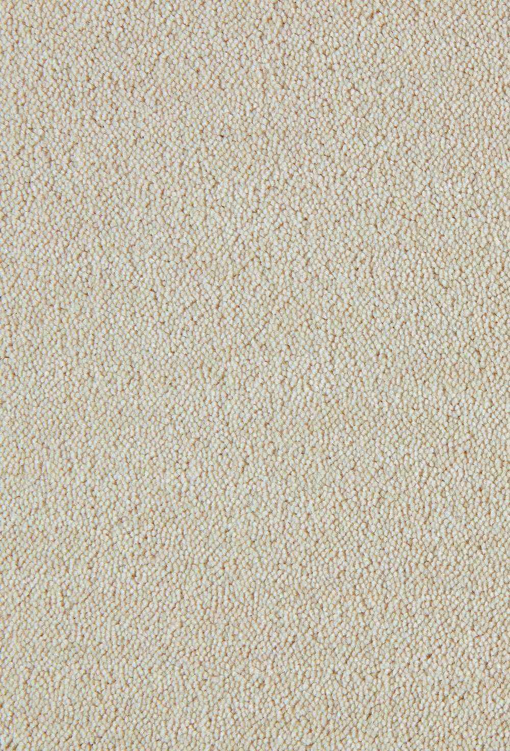 Dream 450 vegg til vegg teppe