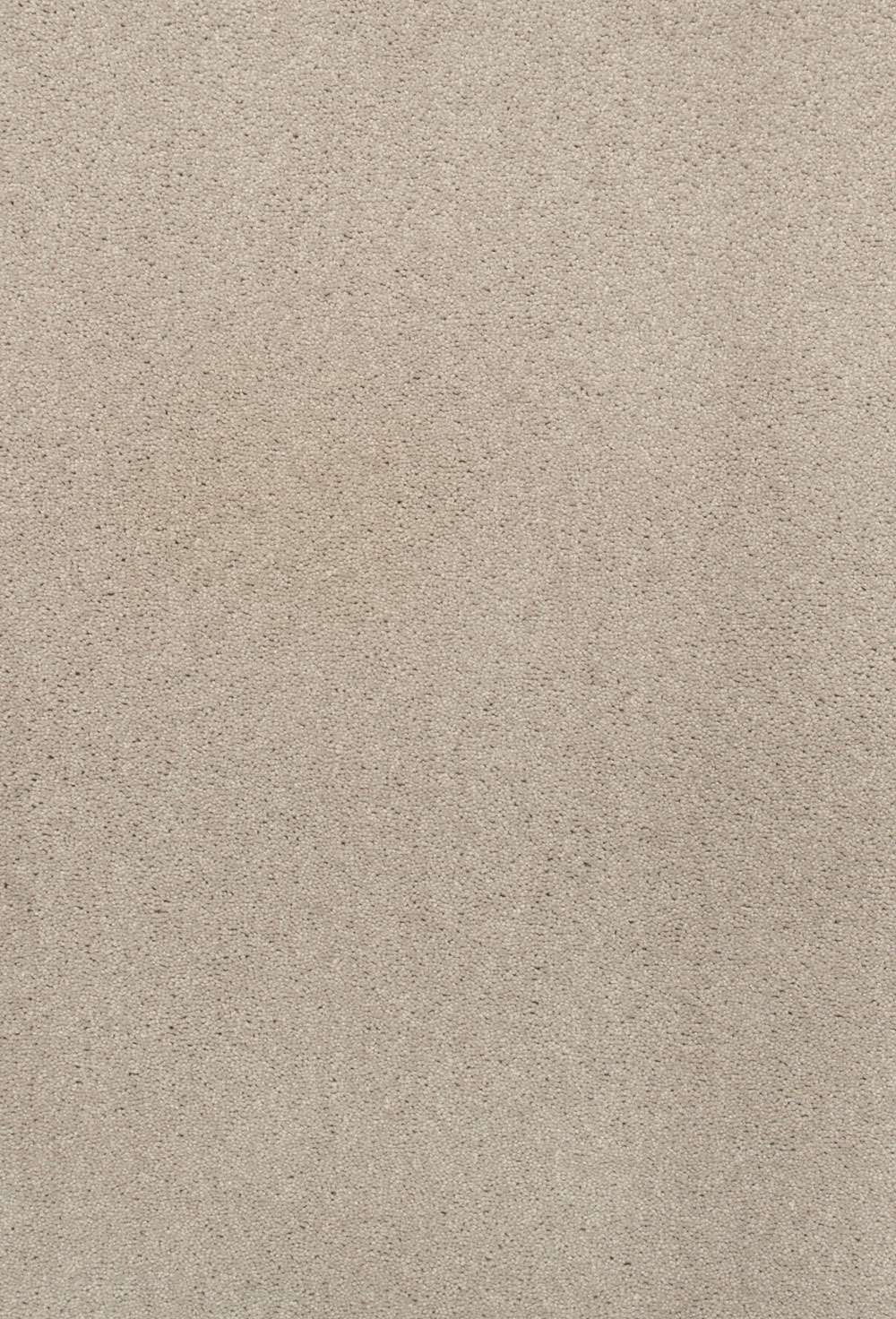 REST Palace 74 247 x 280 cm