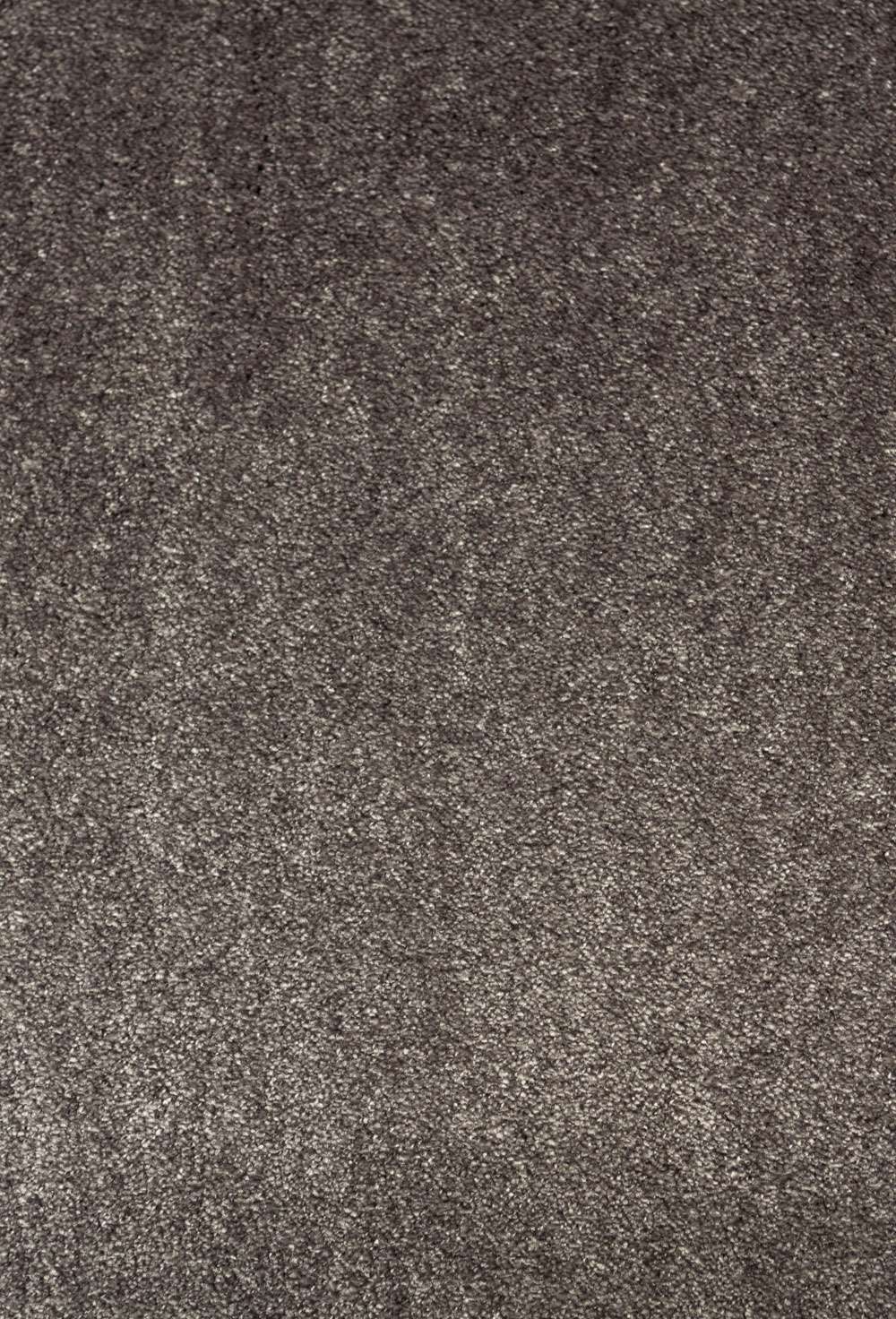 Seduction 99 Raven vegg til vegg teppe