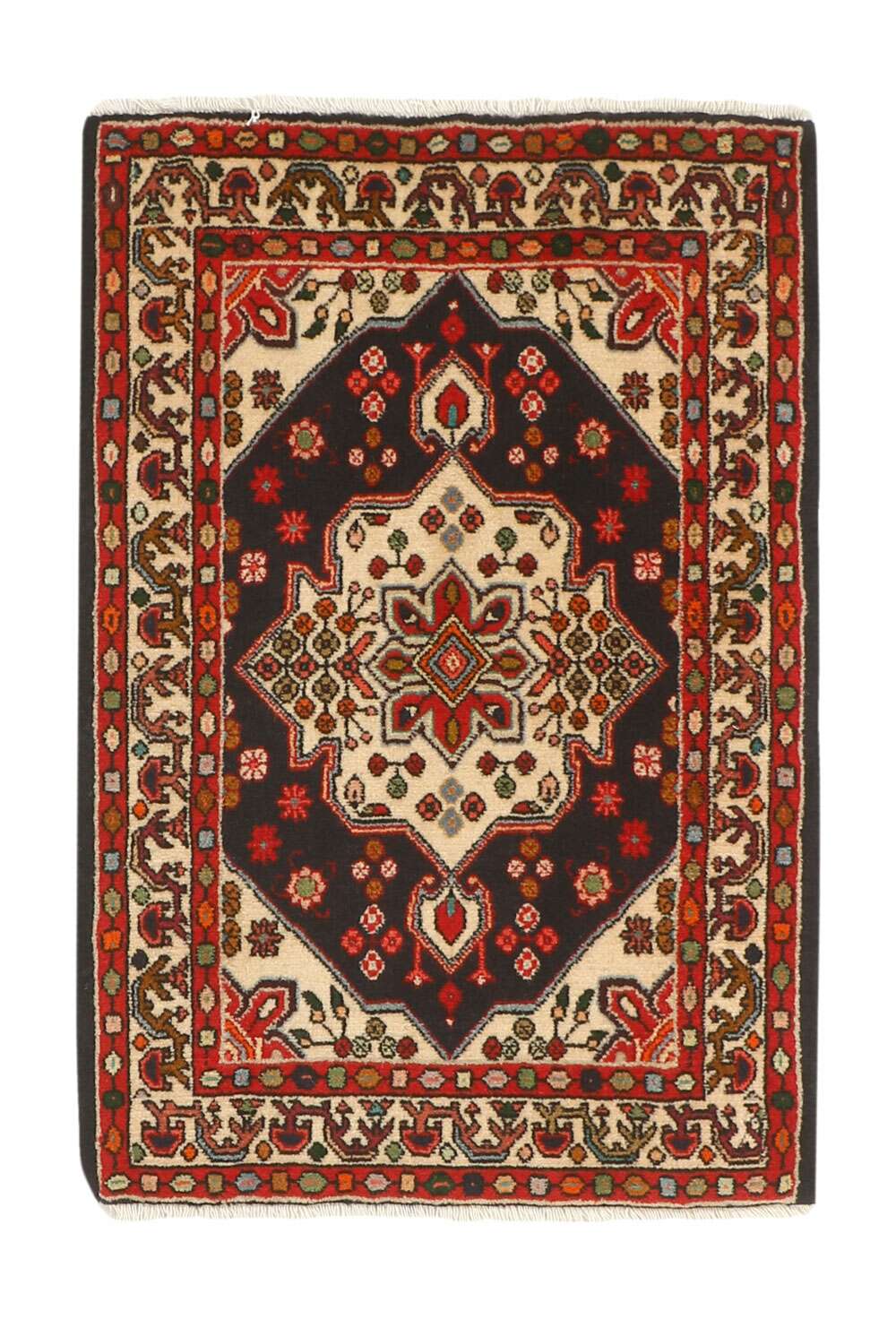 Asadabad 483746 håndknyttet teppe