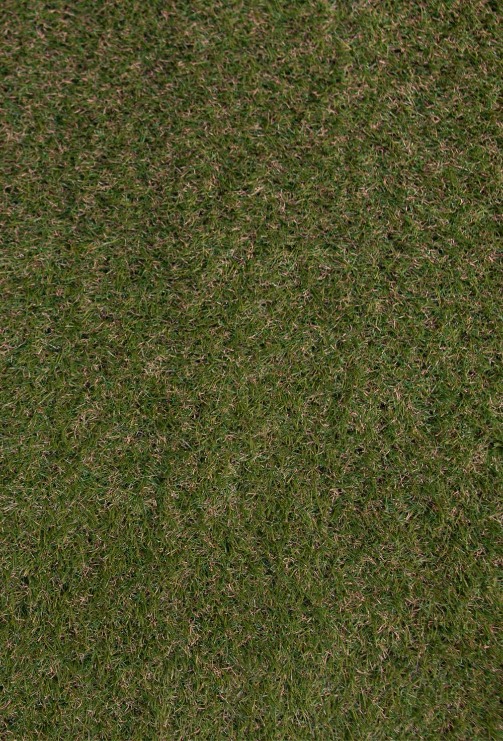 REST Talia 200 x 347 cm