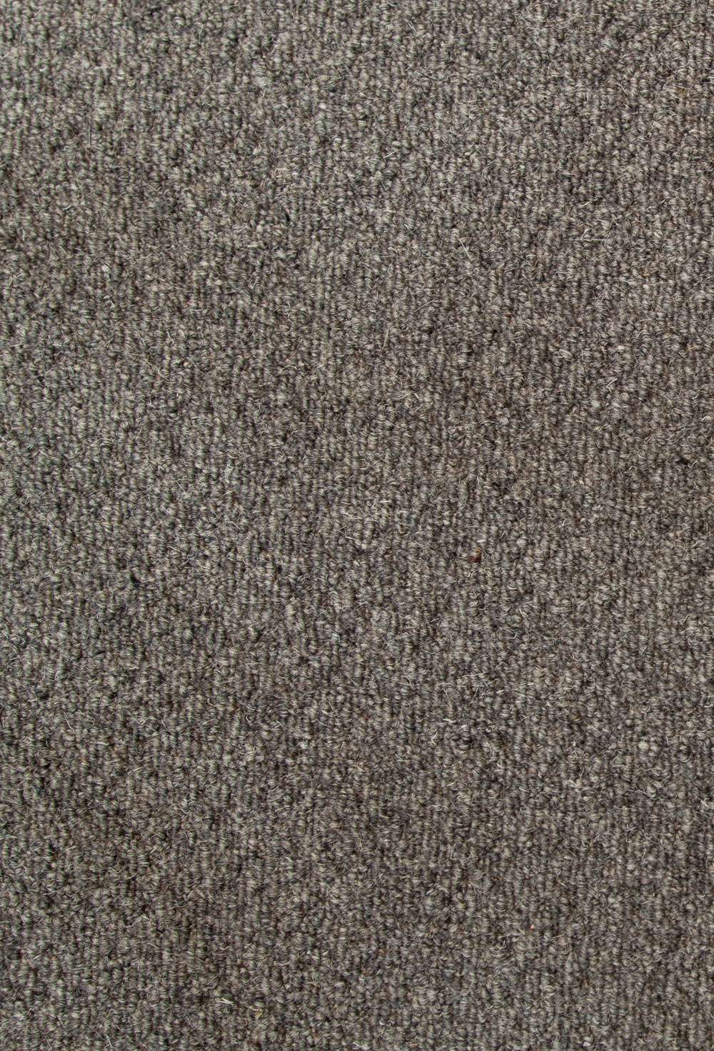 Windsor 1145 Dark Grey vegg til vegg teppe