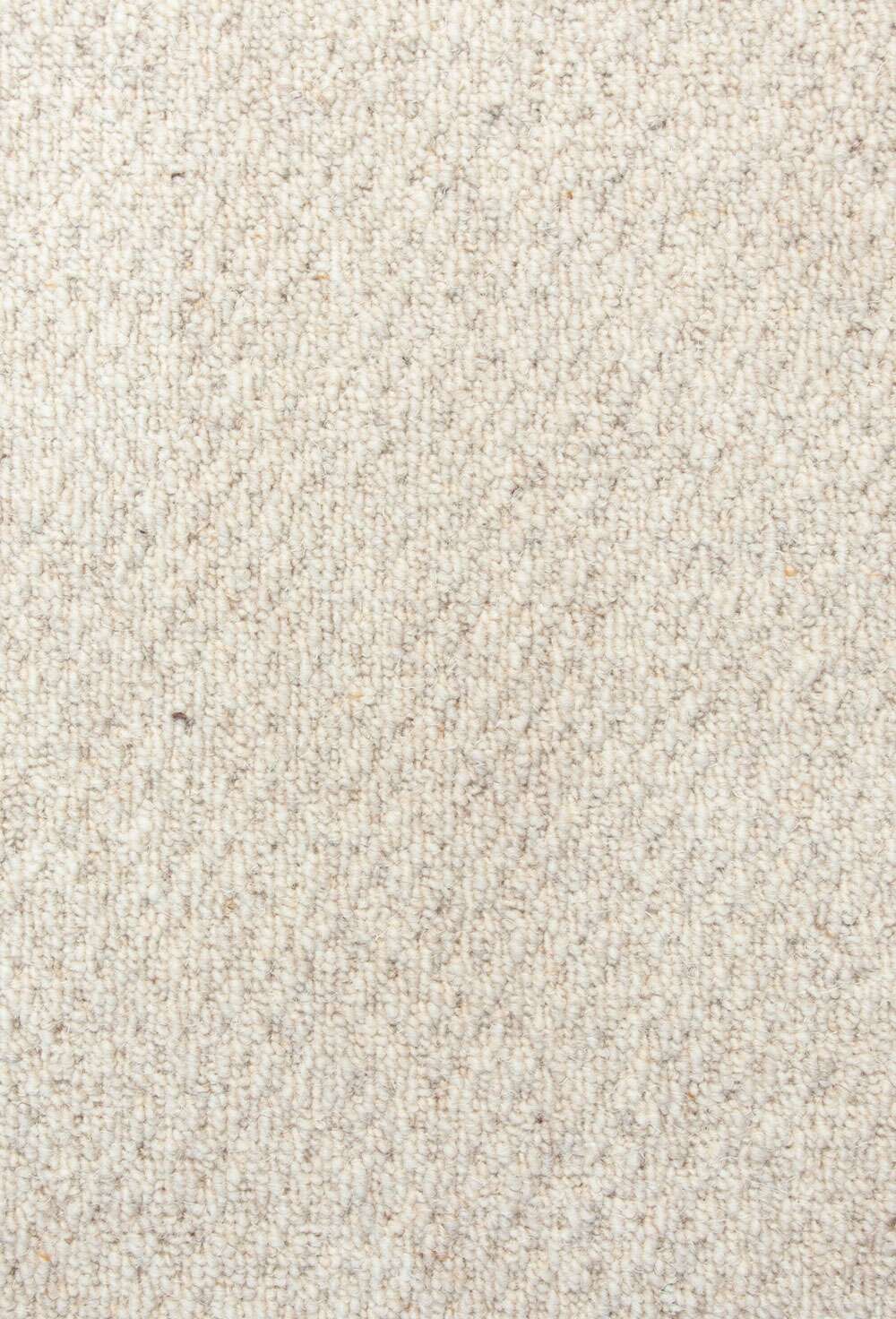 Windsor 1105 Shell vegg til vegg teppe