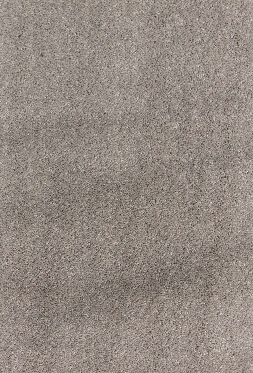 Primrose 043 vegg til vegg teppe