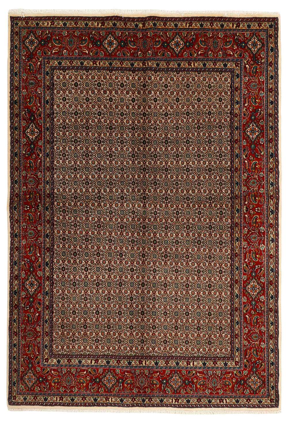 Moud Mahi 522657 håndknyttet teppe