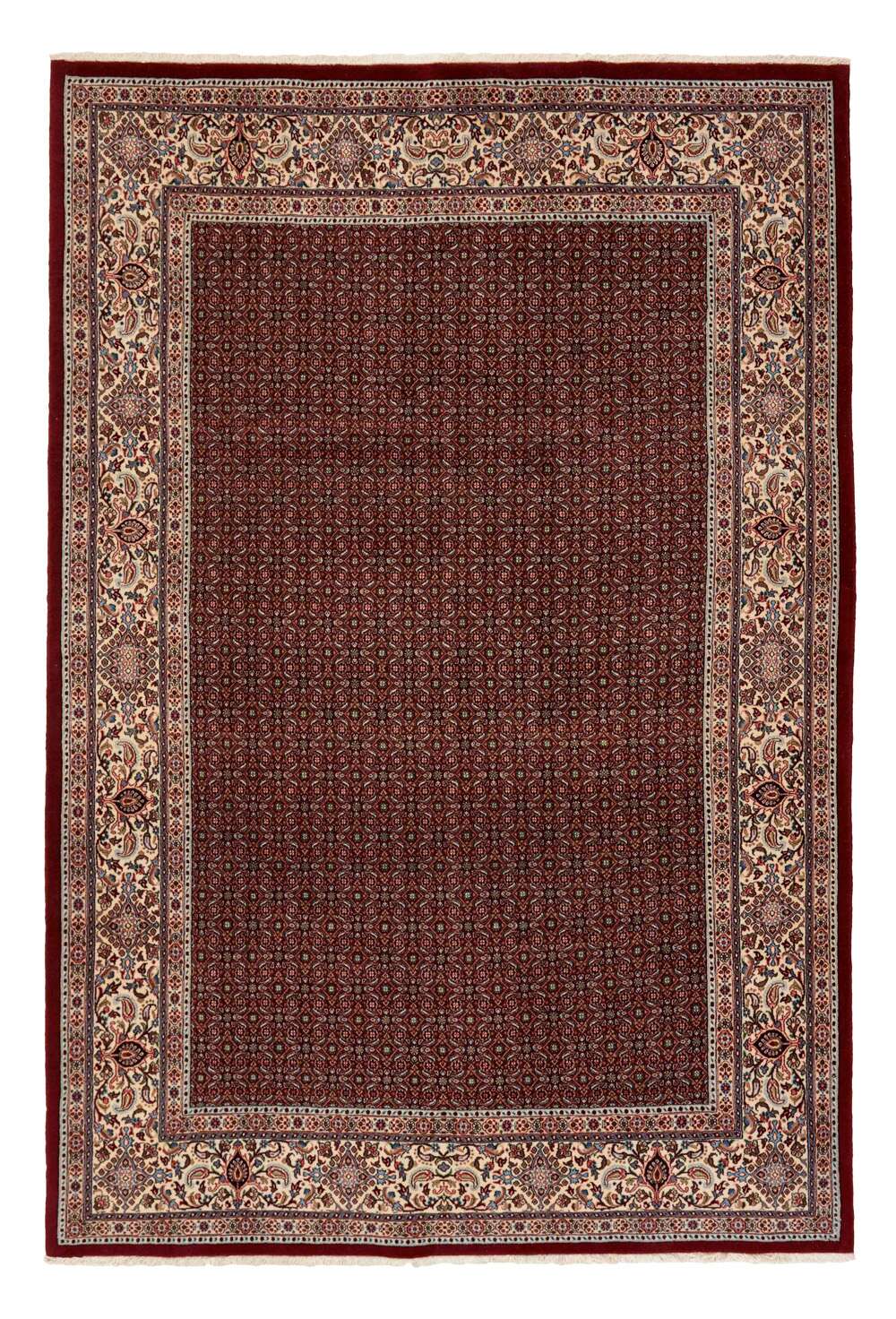 Moud Mahi 497892 håndknyttet teppe