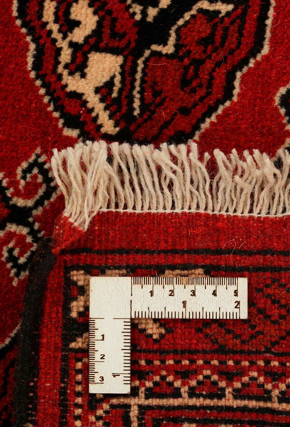 Torkaman 486341 håndknyttet teppe