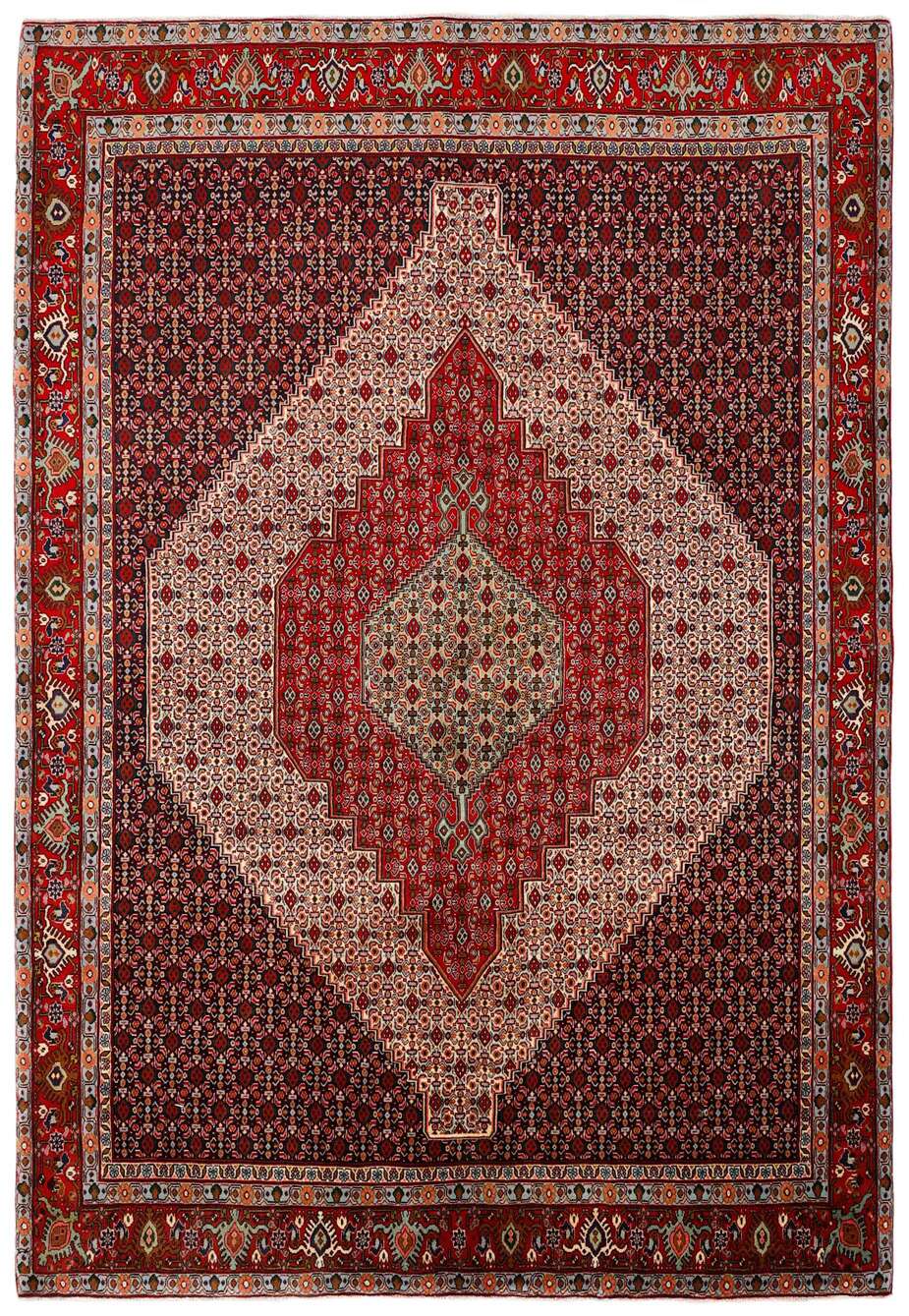 Seneh 542974 håndknyttet teppe