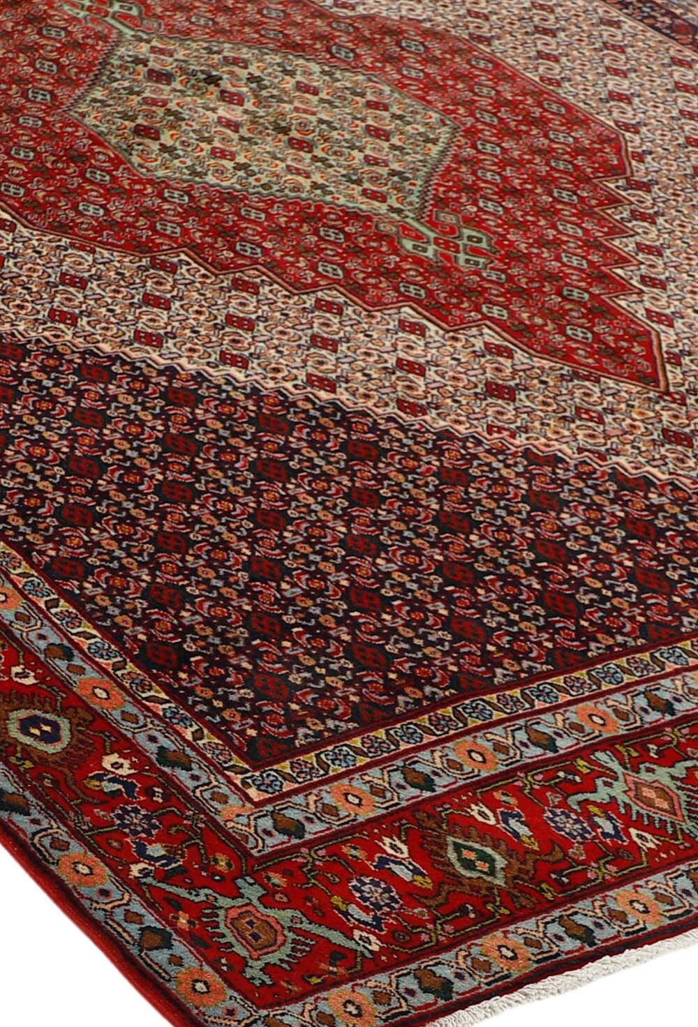 Seneh 542974 håndknyttet teppe