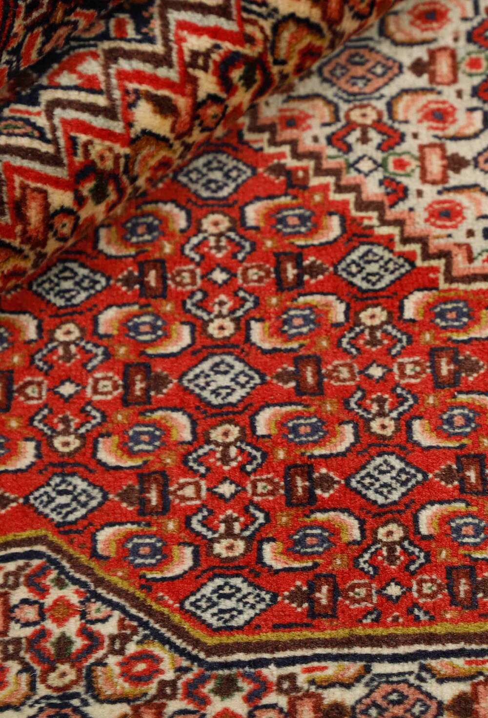 Seneh 542978 håndknyttet teppe