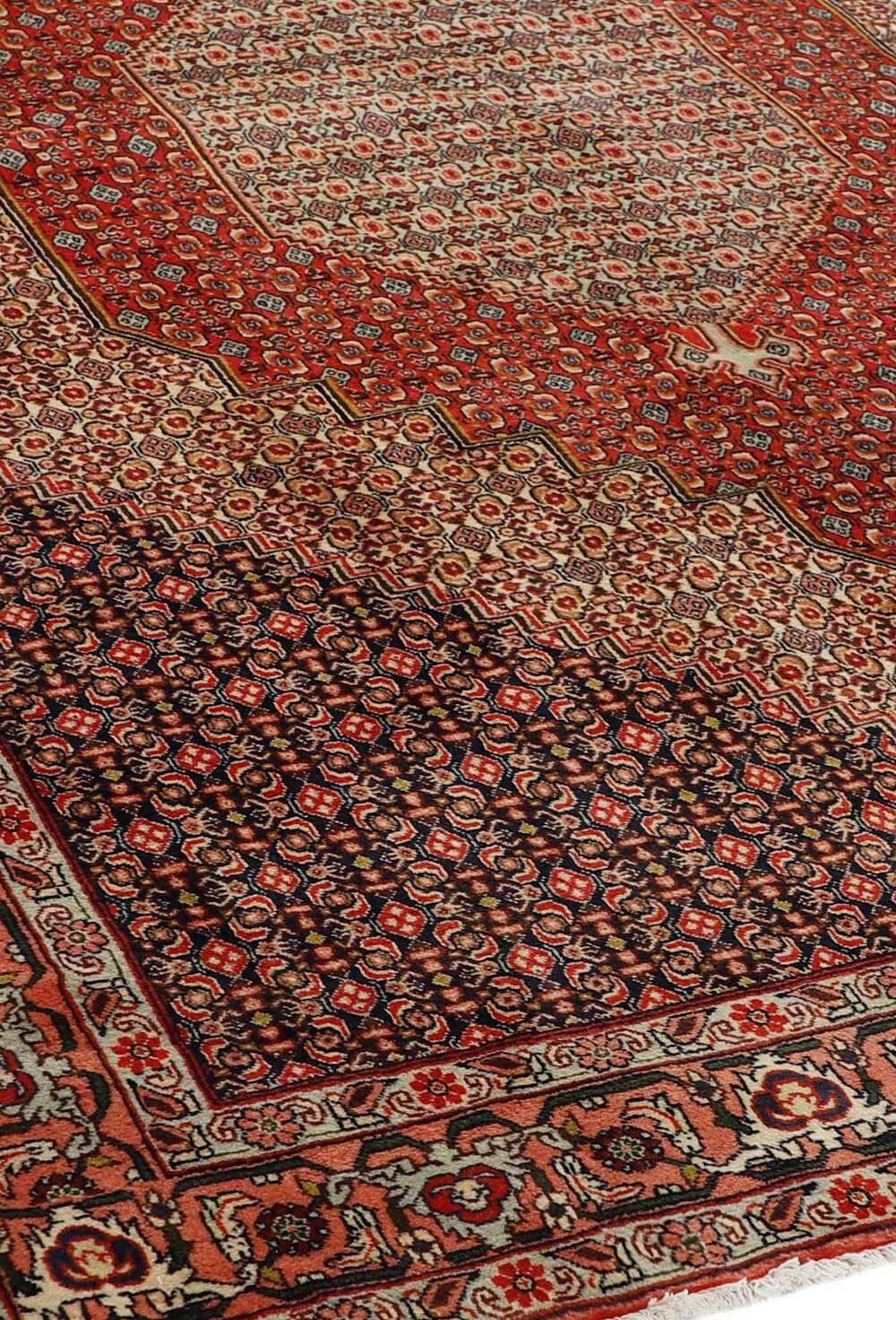 Seneh 542978 håndknyttet teppe