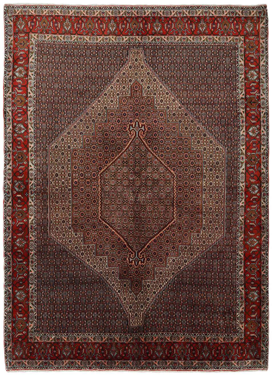 Seneh 542981 håndknyttet teppe