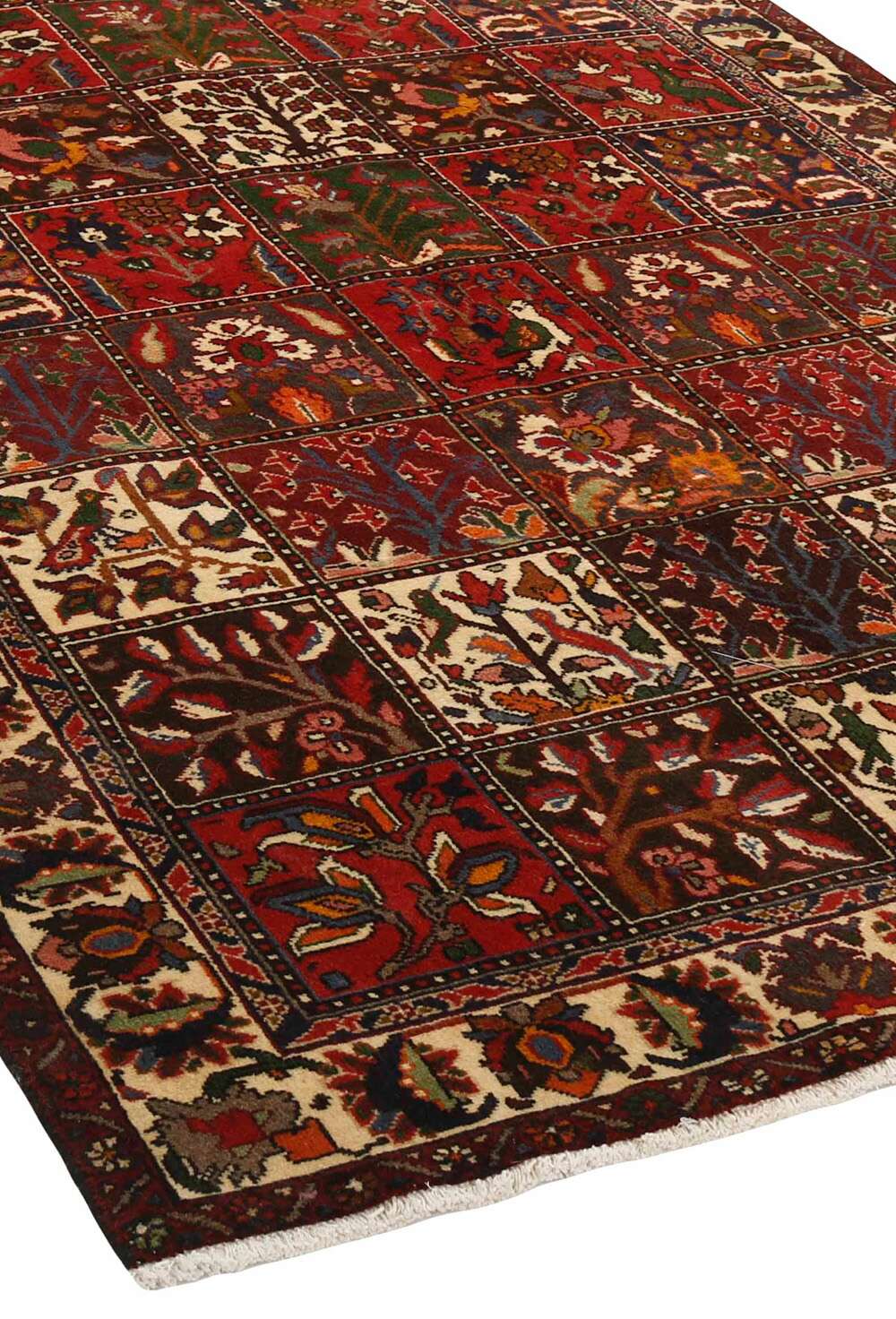 Bakhtiyar 469612 håndknyttet teppe