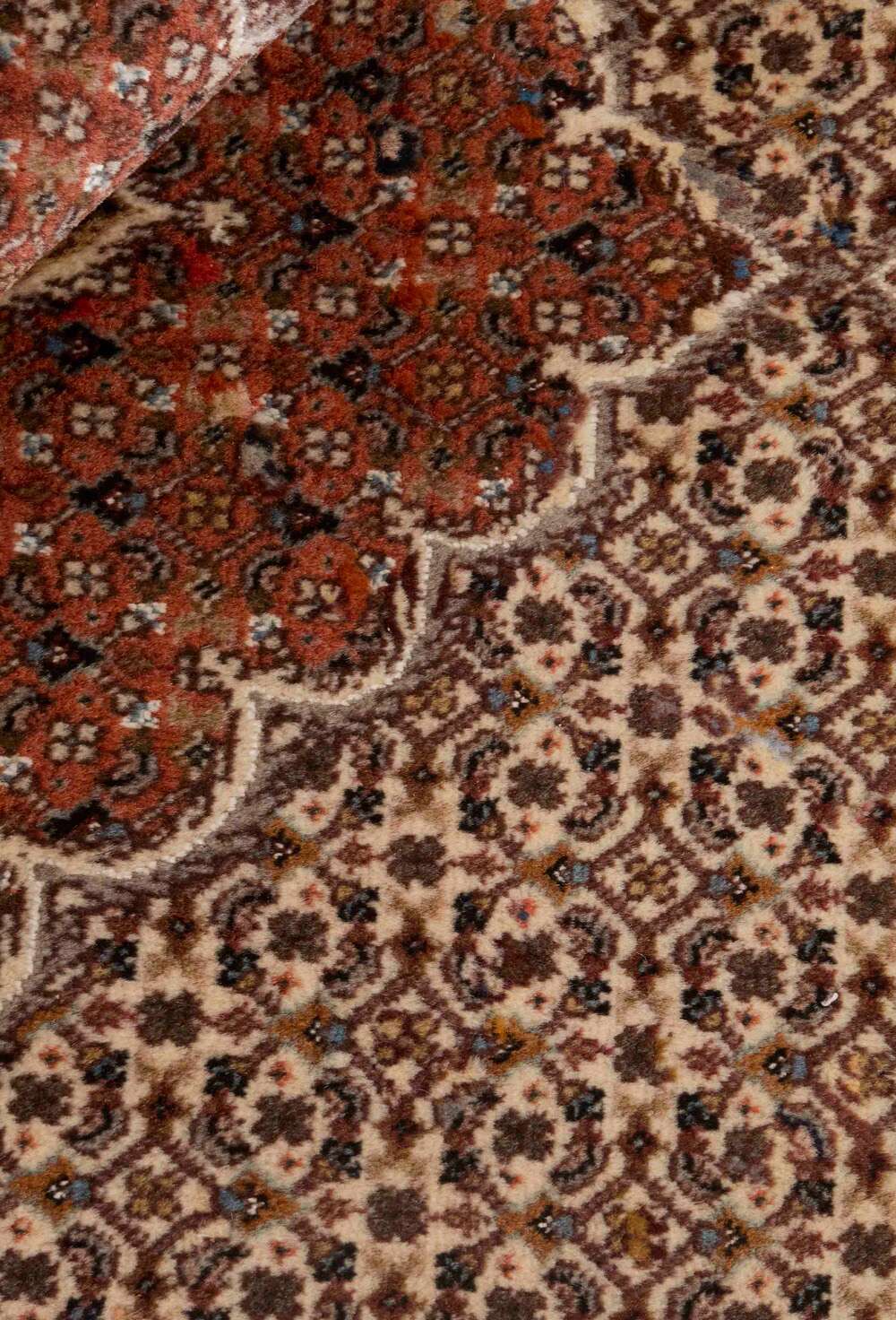 Tabiriz 40 Mahi 544632 håndknyttet teppe