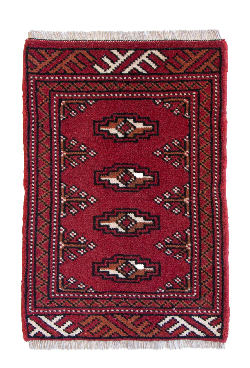 Torkaman 540860 håndknyttet teppe