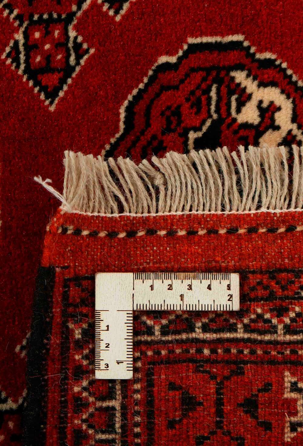 Torkaman 486332 håndknyttet teppe