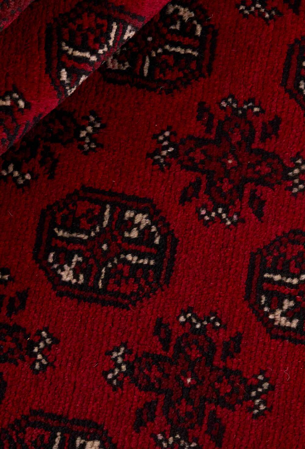 Aktscha 109803 håndknyttet teppe