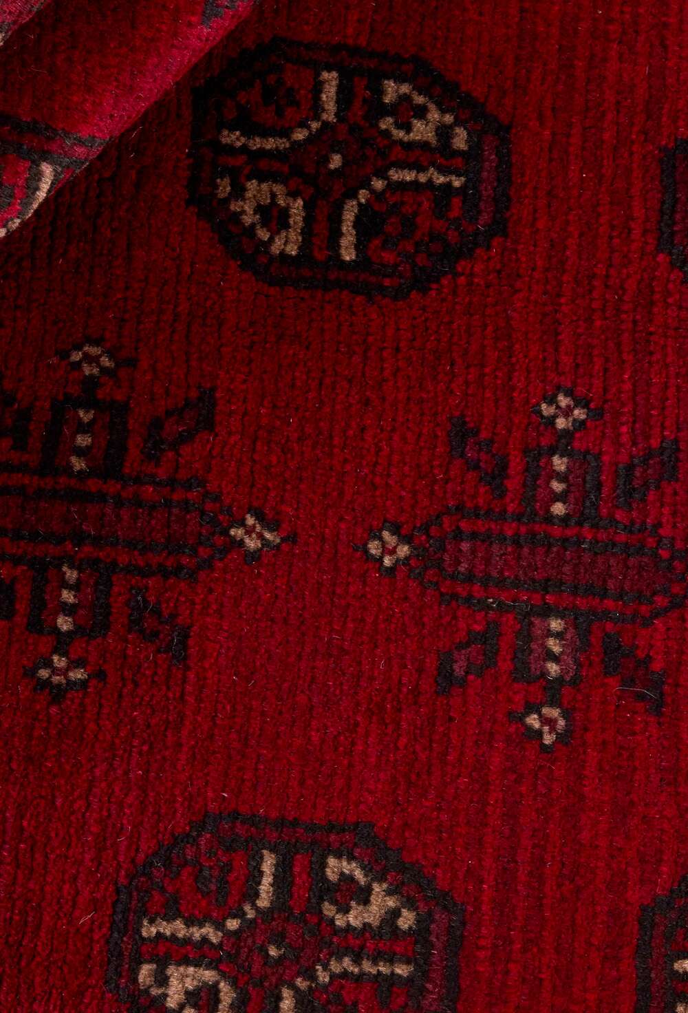 Aktscha 272604 håndknyttet teppe