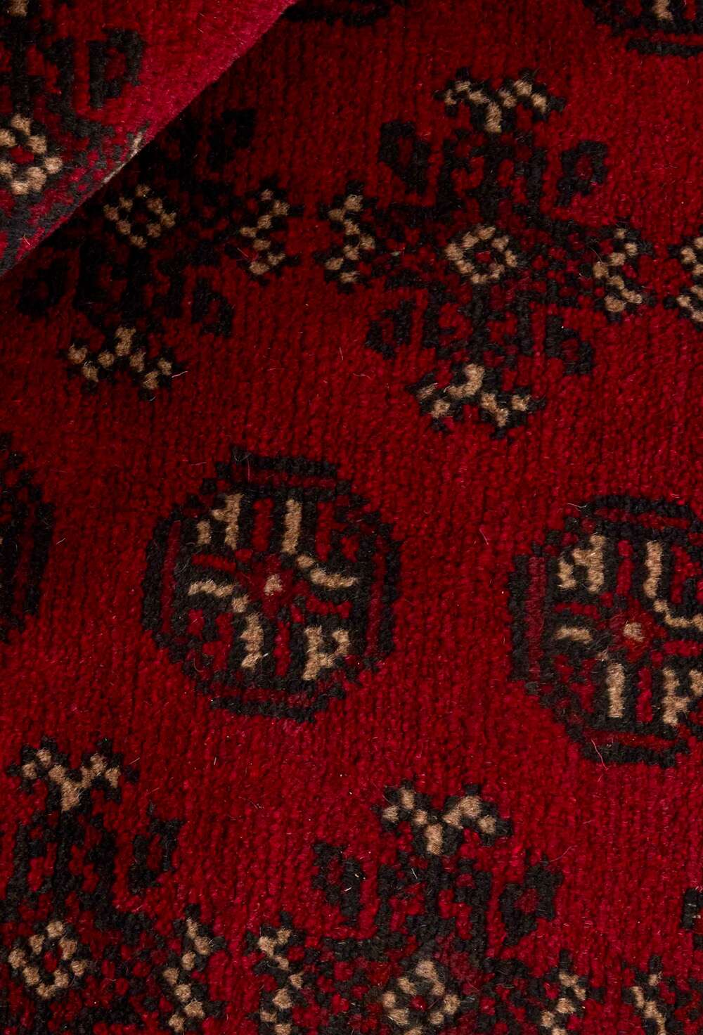 Aktscha 332980 håndknyttet teppe