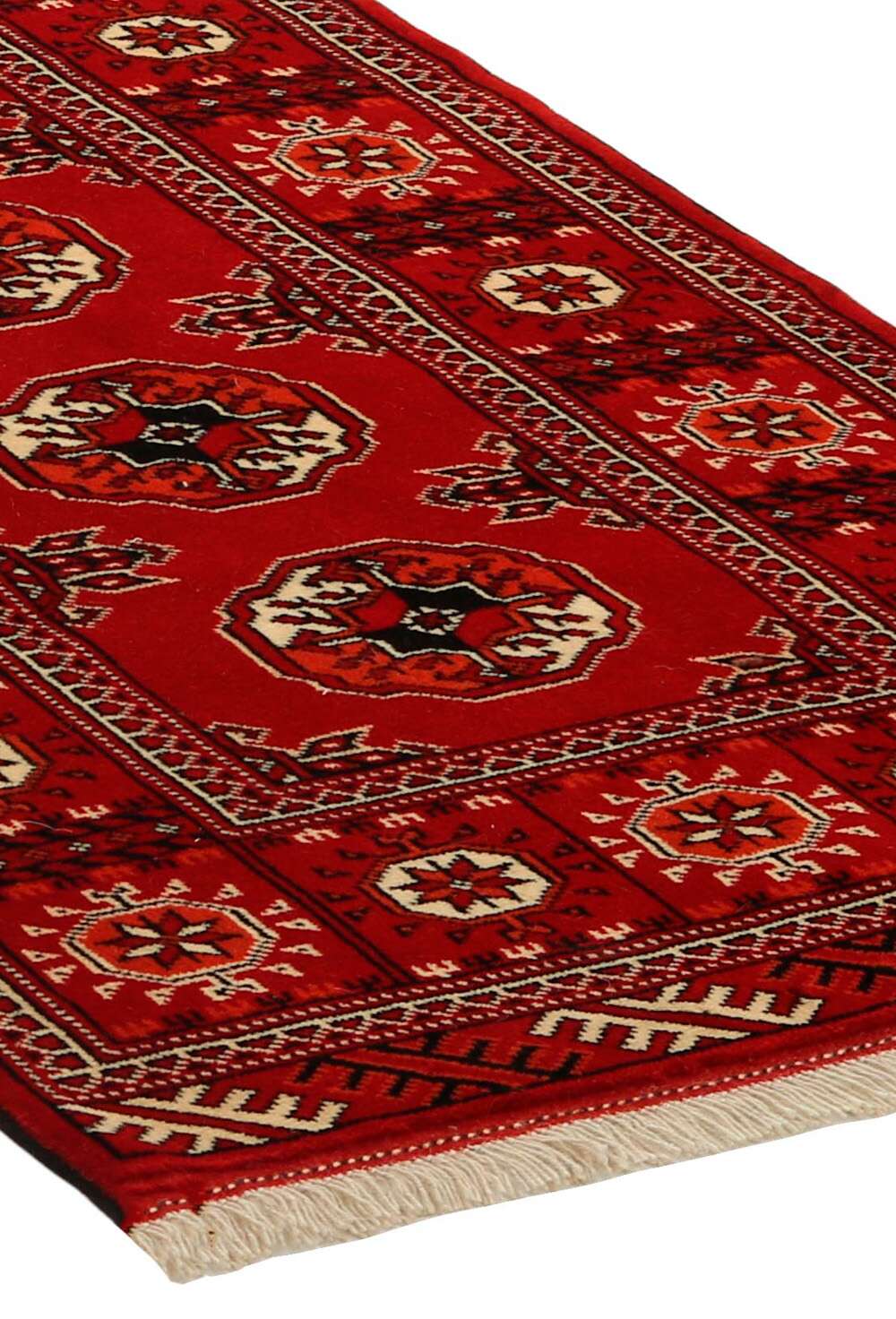 Torkaman 486333 håndknyttet teppe