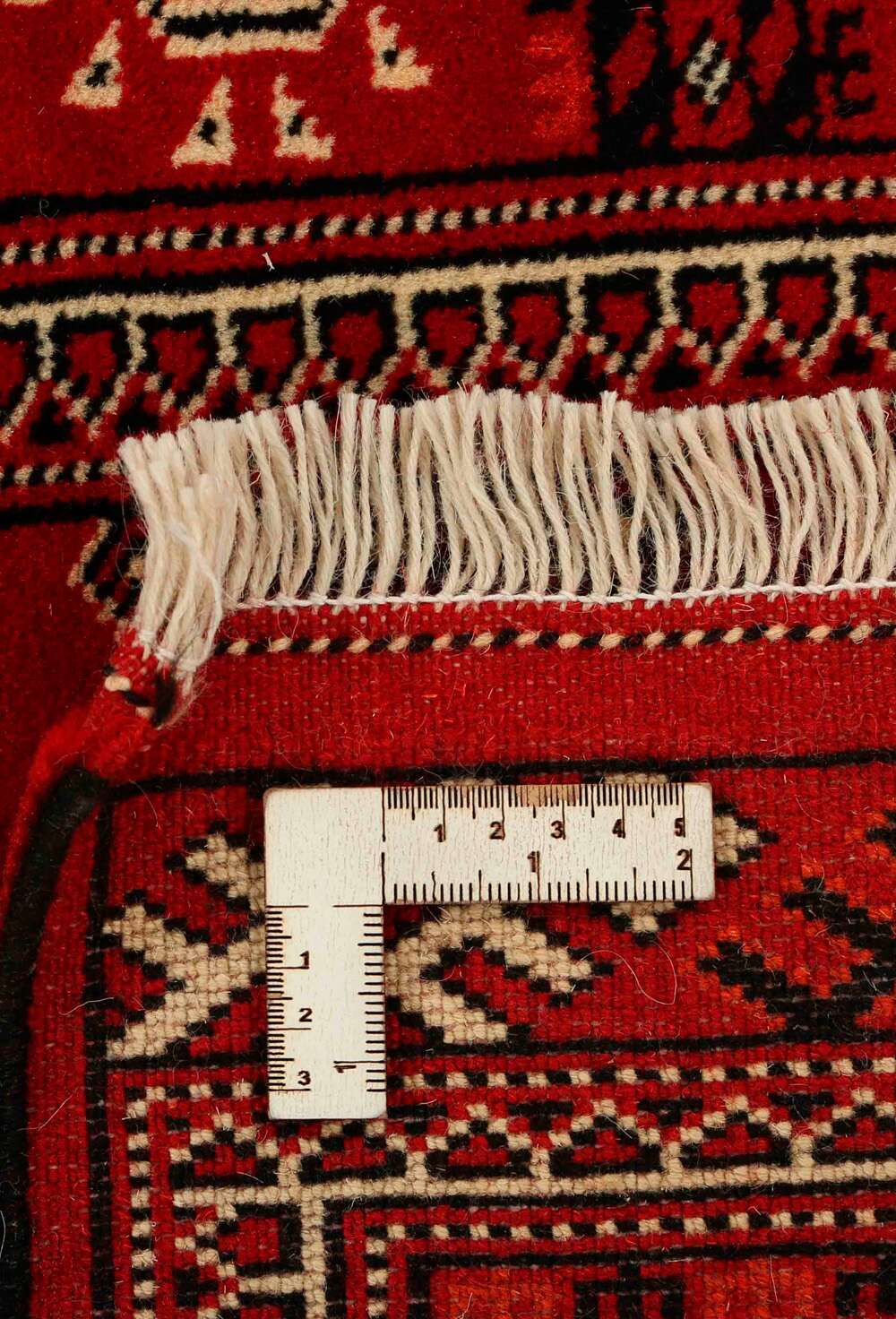 Torkaman 486333 håndknyttet teppe