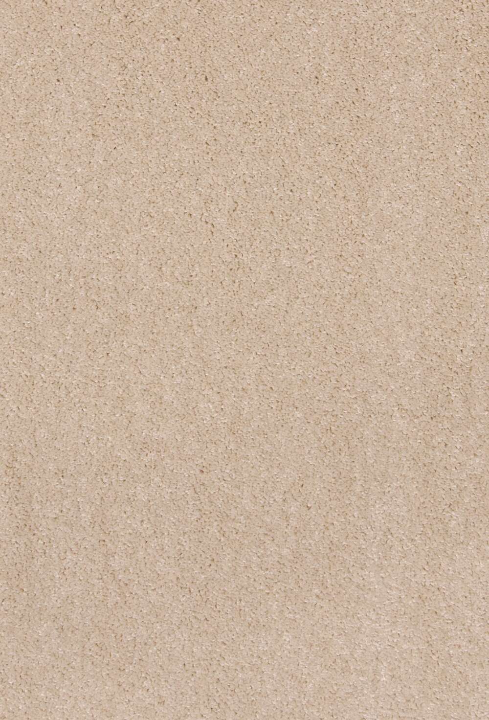 Grace 30 Nougat vegg til vegg teppe