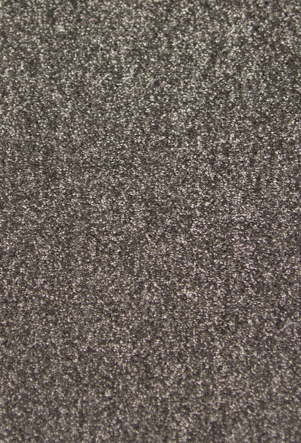 Jamaica 77 Antrasit vegg til vegg teppe