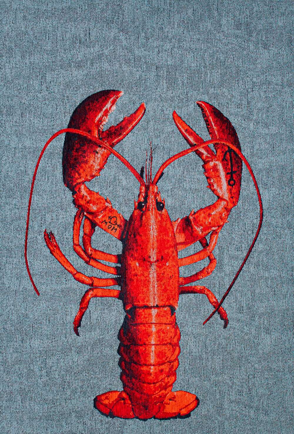 Pop Lobster 9389 Steam Red gulvteppe