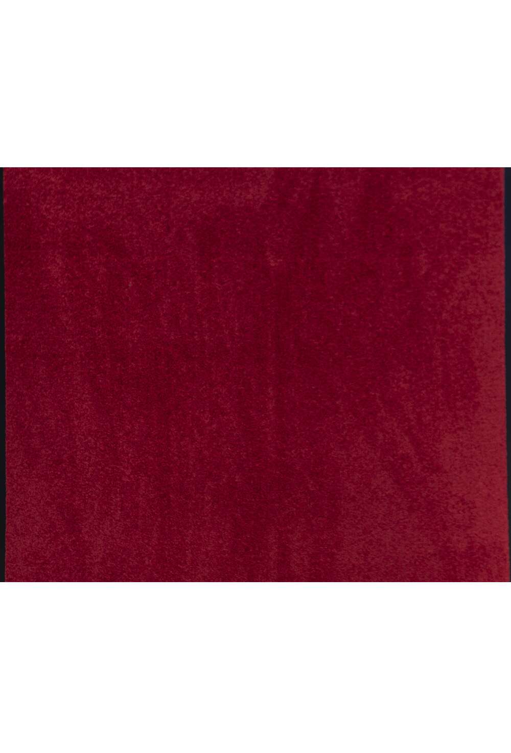 Pro Clean 20 rød matte